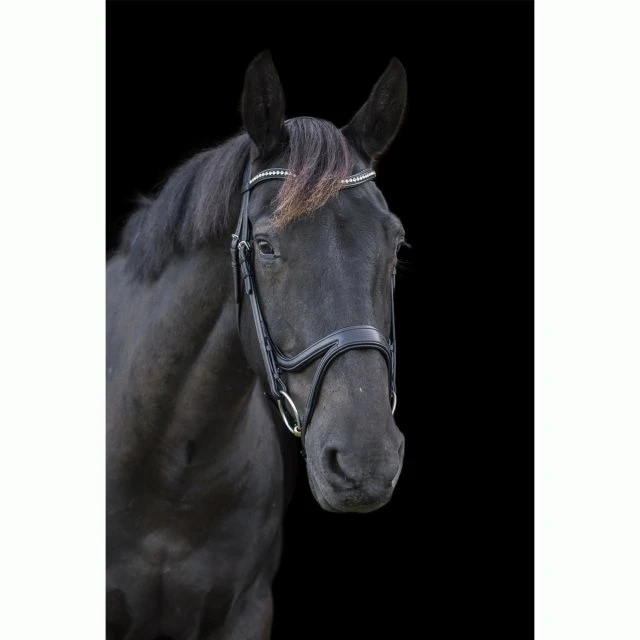 Ecorider Ecosoft Acclaim Bridle 3 Ecorider Ecosoft Acclaim Bridle - Image 3