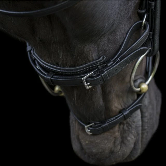 Ecorider Ecosoft Acclaim Bridle 4 Ecorider Ecosoft Acclaim Bridle - Image 4