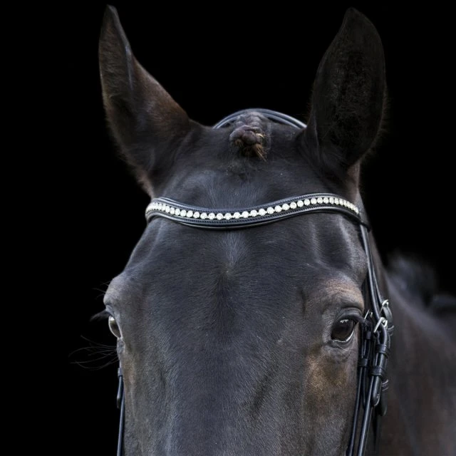 Ecorider Ecosoft Acclaim Bridle 5 Ecorider Ecosoft Acclaim Bridle - Image 5