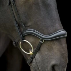 Ecorider Ecosoft Finesse Bridle -Equestrian Supply Store 16003d