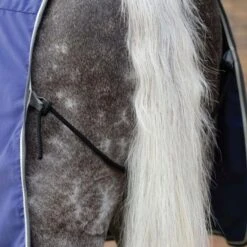 Weatherbeeta Cotton Show Sheet Standard Neck -Equestrian Supply Store 16151d