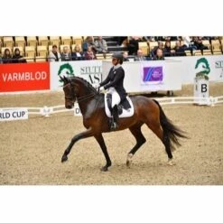 Catago FIR-Tech Dressage Saddle Pad 7 Catago FIR-Tech Dressage Saddle Pad -Equestrian Supply Store 16191d