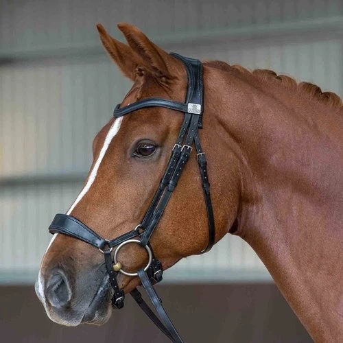 Fairfax Pony Drop Noseband 1 Fairfax Pony Drop Noseband