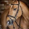 LeMieux Work Bridle