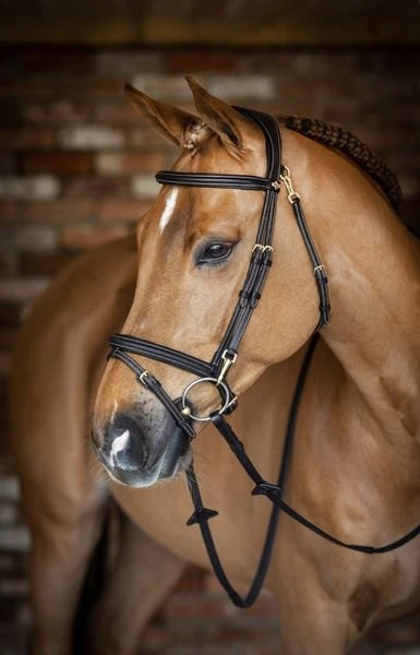 LeMieux Work Bridle 1 LeMieux Work Bridle