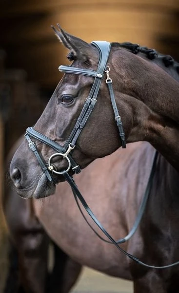 LeMieux Work Bridle 2 LeMieux Work Bridle - Image 2
