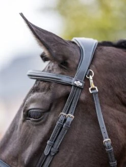 LeMieux Work Bridle 9 LeMieux Work Bridle -Equestrian Supply Store 16206d