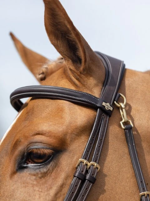 LeMieux Work Bridle 5 LeMieux Work Bridle - Image 5