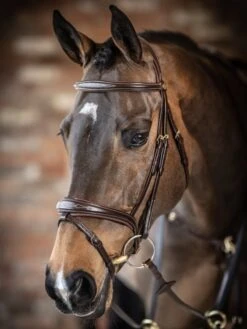 LeMieux Competition Flash Bridle -Equestrian Supply Store 16215d