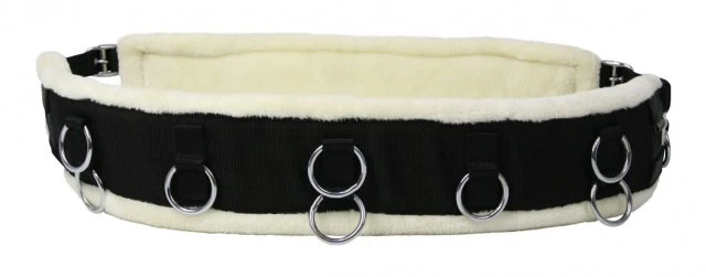 Hy Lunge Roller 1 Hy Lunge Roller