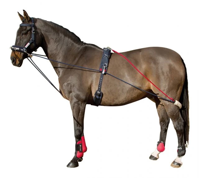 Whitaker Trainig System 1 Whitaker Trainig System