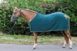 Cameo Equine Limited Edition Show Collection Rug 8 Cameo Equine Limited Edition Show Collection Rug -Equestrian Supply Store 16749c