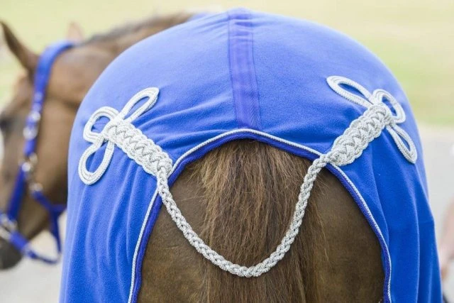 Cameo Equine Limited Edition Show Collection Rug 4 Cameo Equine Limited Edition Show Collection Rug - Image 4