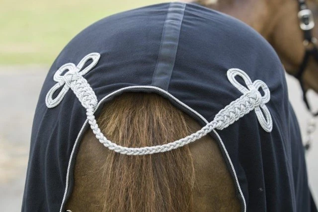 Cameo Equine Limited Edition Show Collection Rug 5 Cameo Equine Limited Edition Show Collection Rug - Image 5