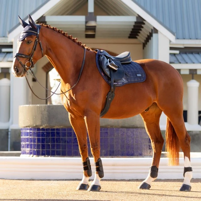 LeMieux Rhone Fly Hood - Vintage Navy 1 LeMieux Rhone Fly Hood - Vintage Navy