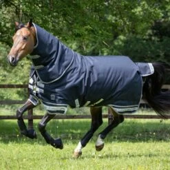 LeMieux Arika Storm-Tek 350g 5 LeMieux Arika Storm-Tek 350g -Equestrian Supply Store 16877c