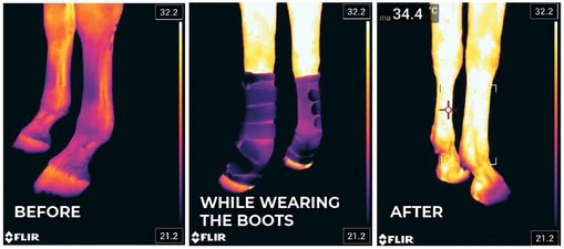 Kentucky Magnetic Stable Boots Recuptex 4 Kentucky Magnetic Stable Boots Recuptex - Image 4