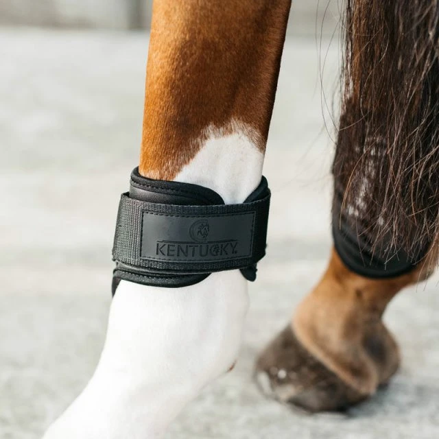 Kentucky Young Horse Fetlock Boots Air 2 Kentucky Young Horse Fetlock Boots Air - Image 2
