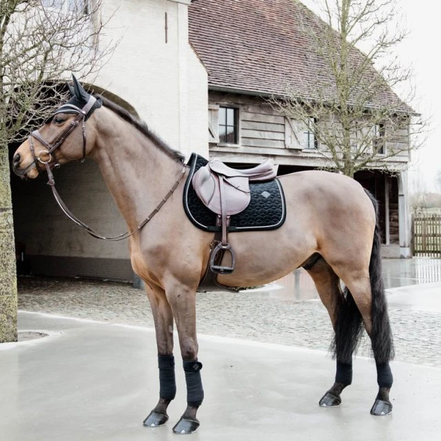 Kentucky Basic Velvet Jumping Pad 2 Kentucky Basic Velvet Jumping Pad - Image 2