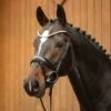 Passier Favorite Klimke Snaffle Bridle W/ Rubber Reins