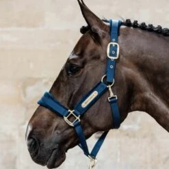 Kentucky Velvet Head Collar 6 Kentucky Velvet Head Collar -Equestrian Supply Store 17315c