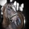LeMieux Arika Dressage Bridle