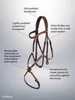 LeMieux Arika Grackle Bridle -Equestrian Supply Store 17781d