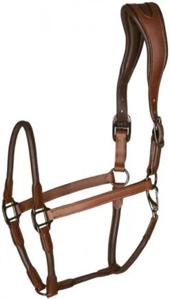 Catago Leather Halter -Equestrian Supply Store 17787c