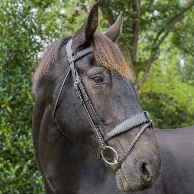 Ecorider Tullamore Bridle 1 Ecorider Tullamore Bridle