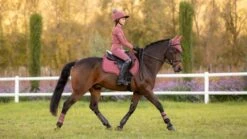 LeMieux Grafter Brushing Boots - Orchid 5 LeMieux Grafter Brushing Boots - Orchid -Equestrian Supply Store 17991c