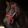 Horseware Fieldsafe Headcollar