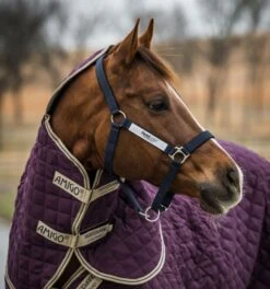 Horseware Fieldsafe Headcollar -Equestrian Supply Store 18029c