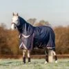 LeMieux Kudos Turnout Rug - 100g