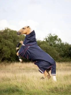 LeMieux Kudos Turnout Rug - 50g 8 LeMieux Kudos Turnout Rug - 50g -Equestrian Supply Store 18057c