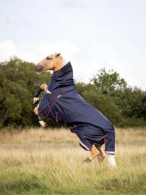 LeMieux Kudos Turnout Rug - 50g 3 LeMieux Kudos Turnout Rug - 50g - Image 3