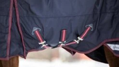 LeMieux Kudos Turnout Rug - 50g 11 LeMieux Kudos Turnout Rug - 50g -Equestrian Supply Store 18057f