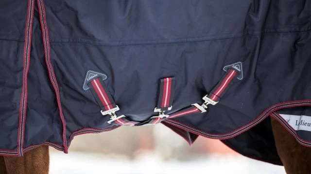 LeMieux Kudos Turnout Rug - 50g 6 LeMieux Kudos Turnout Rug - 50g - Image 6