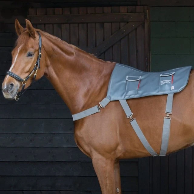 Equilibrium Massage Pad 1 Equilibrium Massage Pad