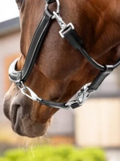 LeMieux Leather Grooming Headcollar -Equestrian Supply Store 18222d