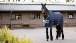 LeMieux Arika Stable-Tek - 200g -Equestrian Supply Store 18251c