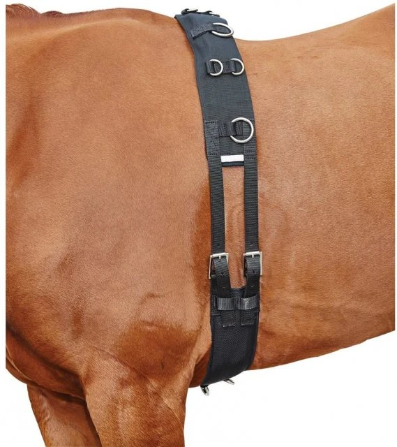 Kincade Lunge Roller With Fleece Padding 1 Kincade Lunge Roller With Fleece Padding