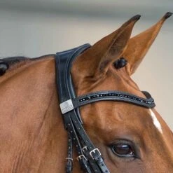 Fairfax Headpiece - Double Bridle