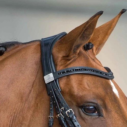 Fairfax Headpiece - Double Bridle 1 Fairfax Headpiece - Double Bridle