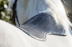 Acavallo Shaped Gel Pad -Equestrian Supply Store 3991c