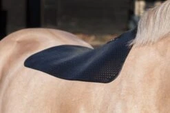Acavallo Thin-Skin Gel Pad 5 Acavallo Thin-Skin Gel Pad -Equestrian Supply Store 4014c