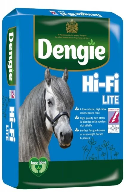 Dengie Hi Fi Lite 1 Dengie Hi Fi Lite
