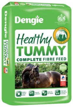 Dengie Healthy Tummy