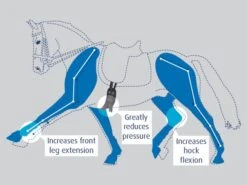 Prolite Girth Short 6 Prolite Girth Short -Equestrian Supply Store 5948c